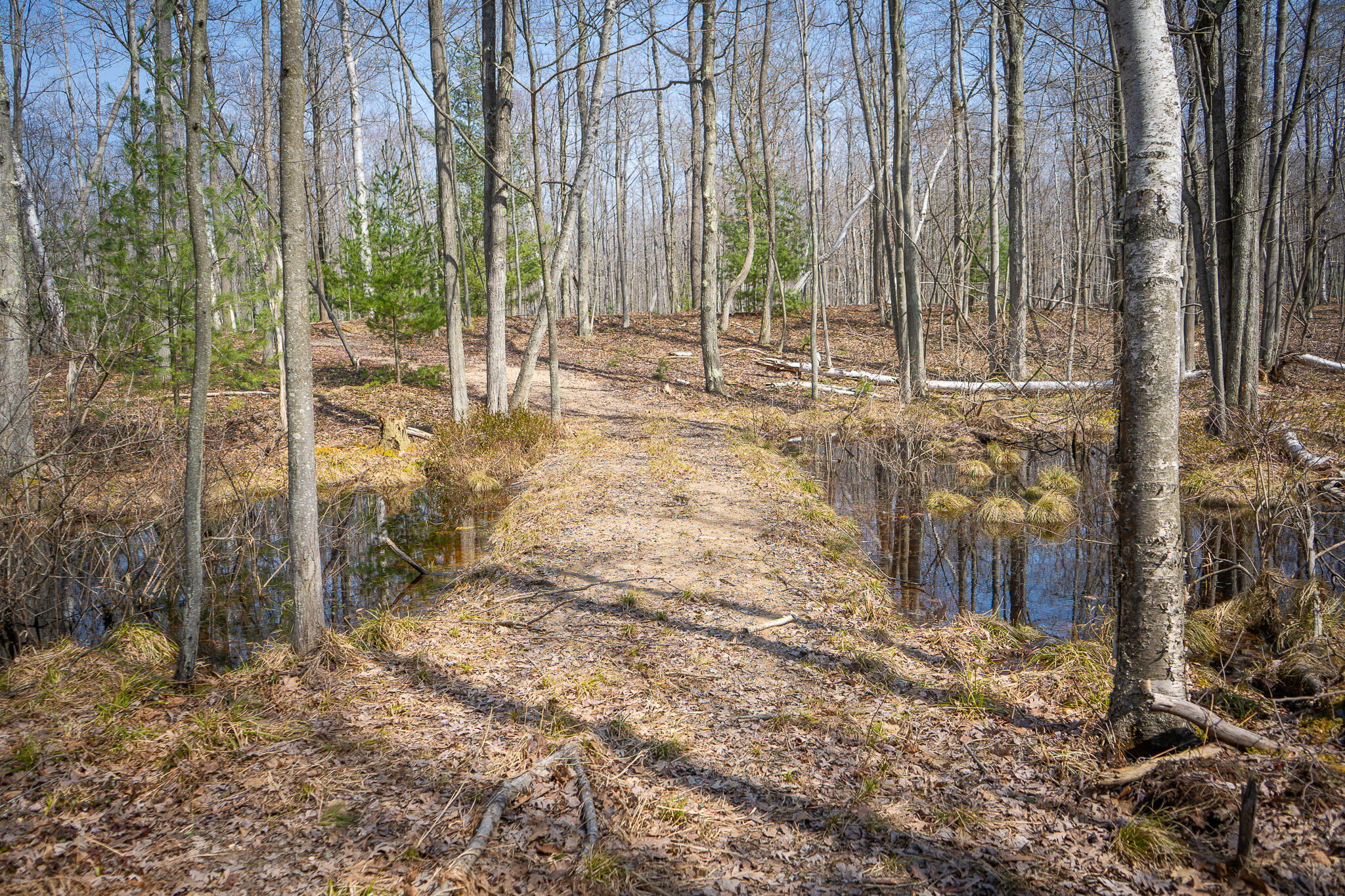 4986 North Ridge Road Pentwater, MI 49449 - Photo 34 of 53 DSC07988