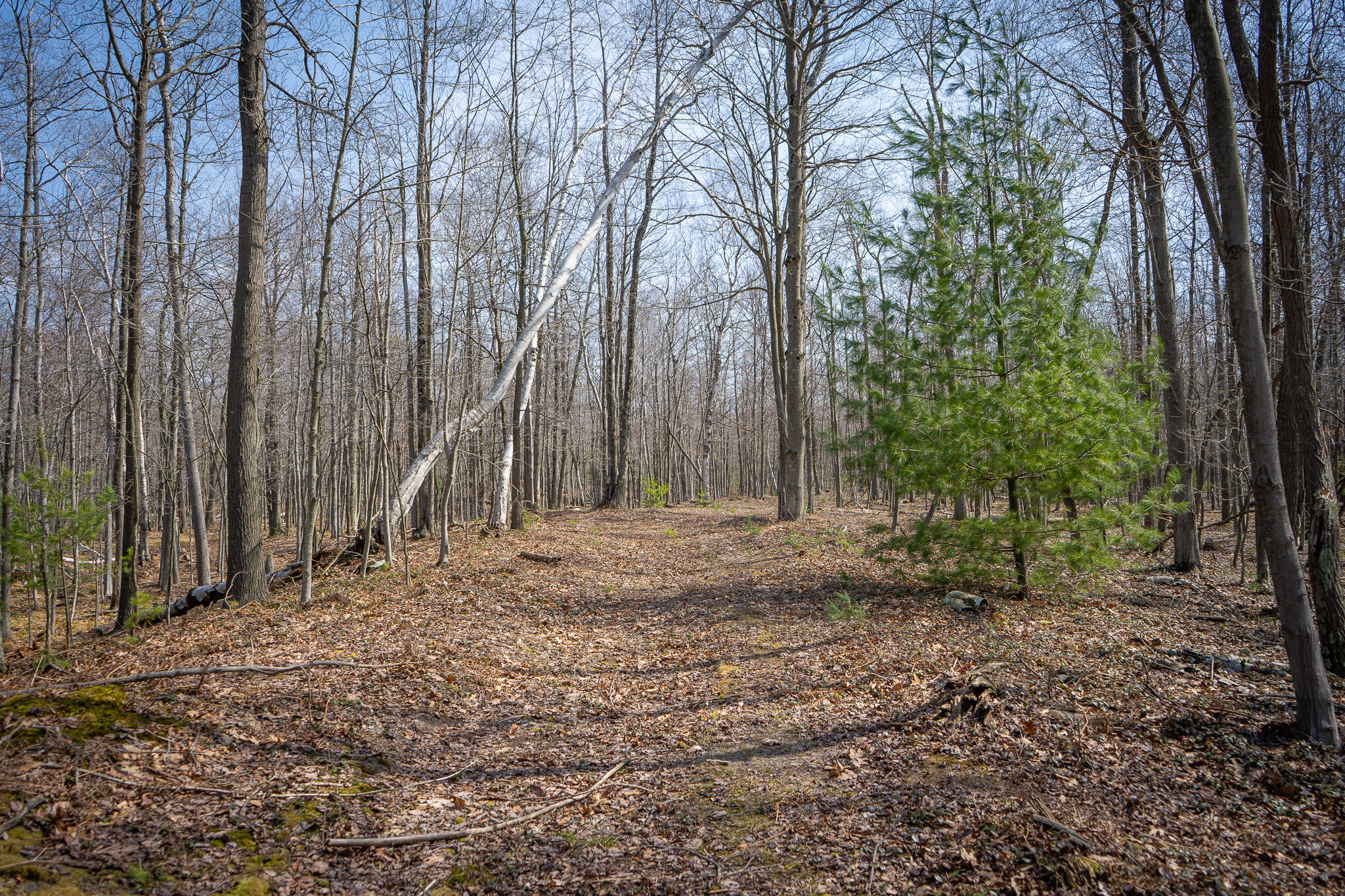 4986 North Ridge Road Pentwater, MI 49449 - Photo 35 of 53 DSC07989