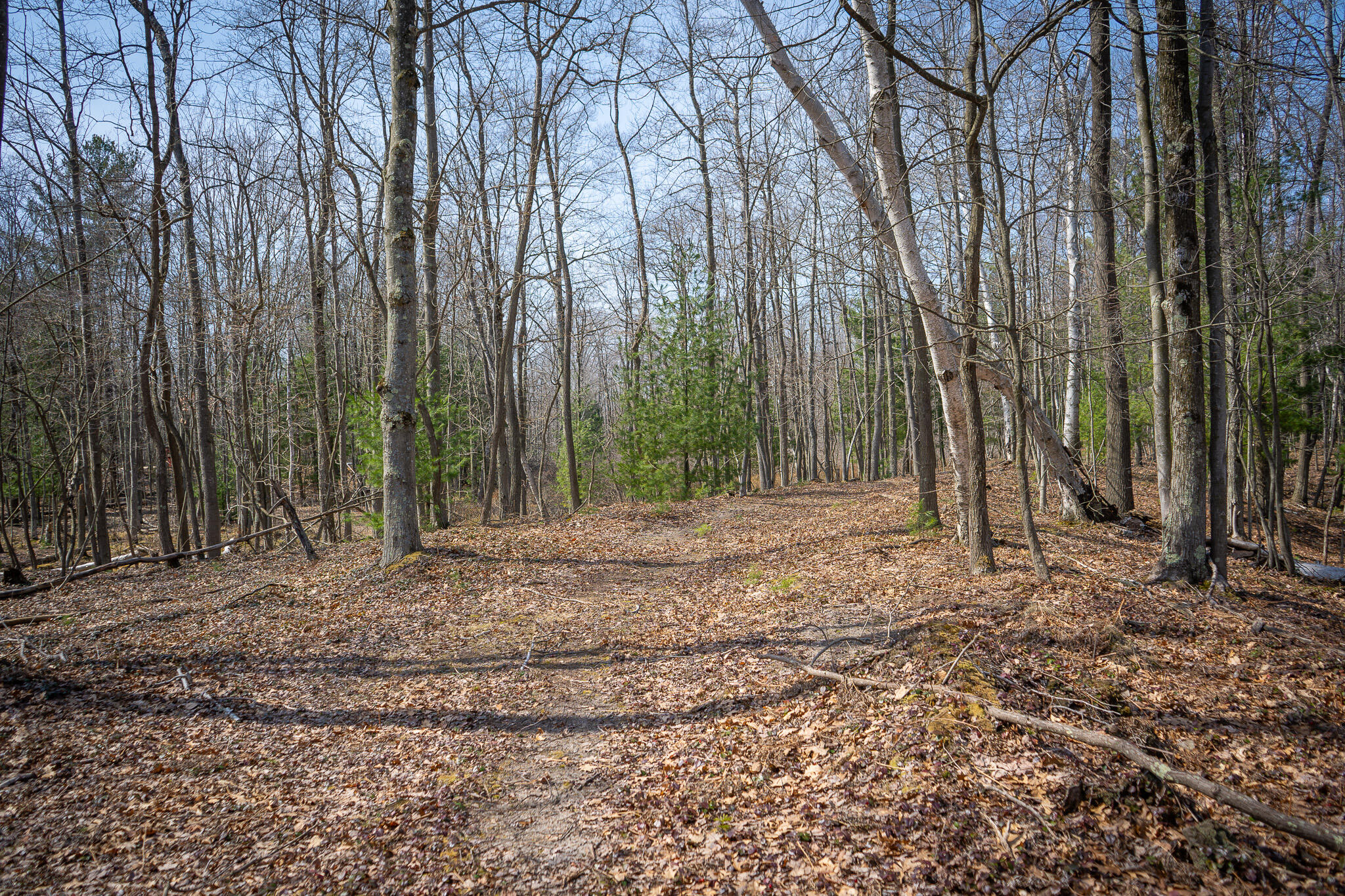 4986 North Ridge Road Pentwater, MI 49449 - Photo 36 of 53 DSC07990