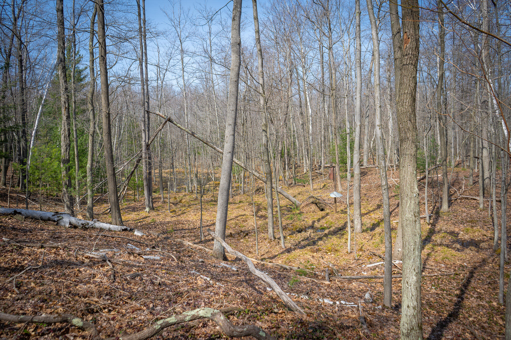 4986 North Ridge Road Pentwater, MI 49449 - Photo 37 of 53 DSC07991