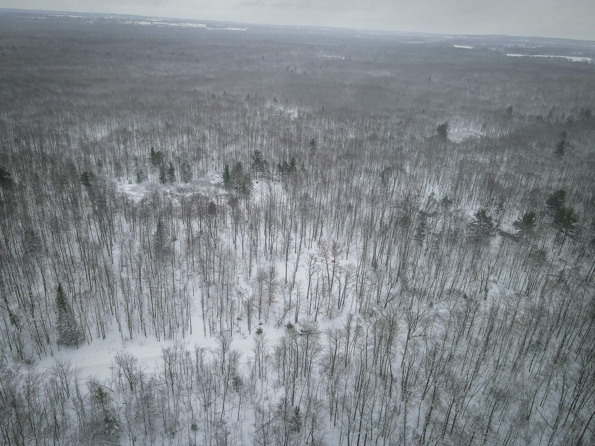 4986 North Ridge Road Pentwater, MI 49449 - Photo 4 of 32 DJI_0953