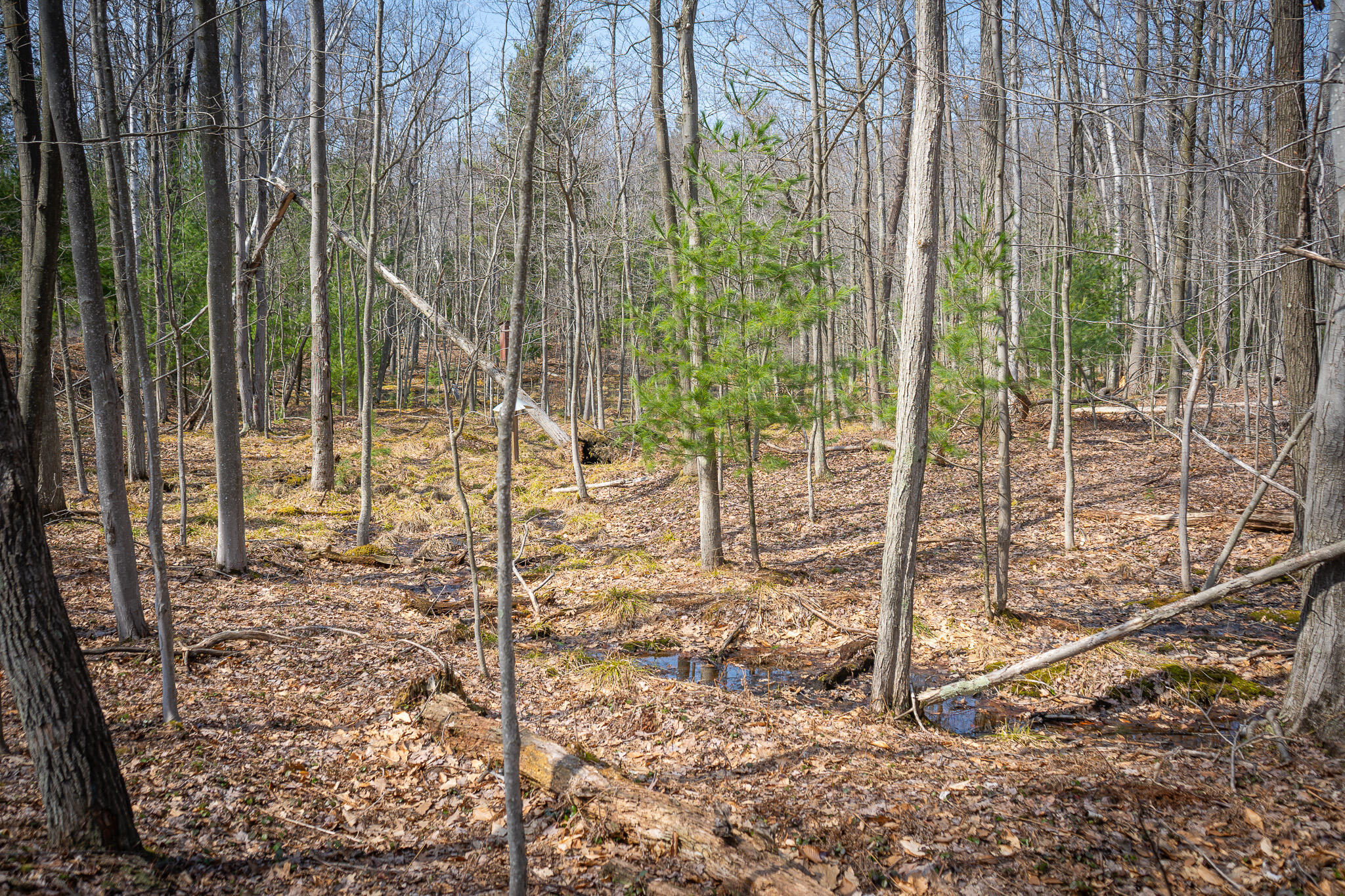 4986 North Ridge Road Pentwater, MI 49449 - Photo 42 of 53 DSC07996