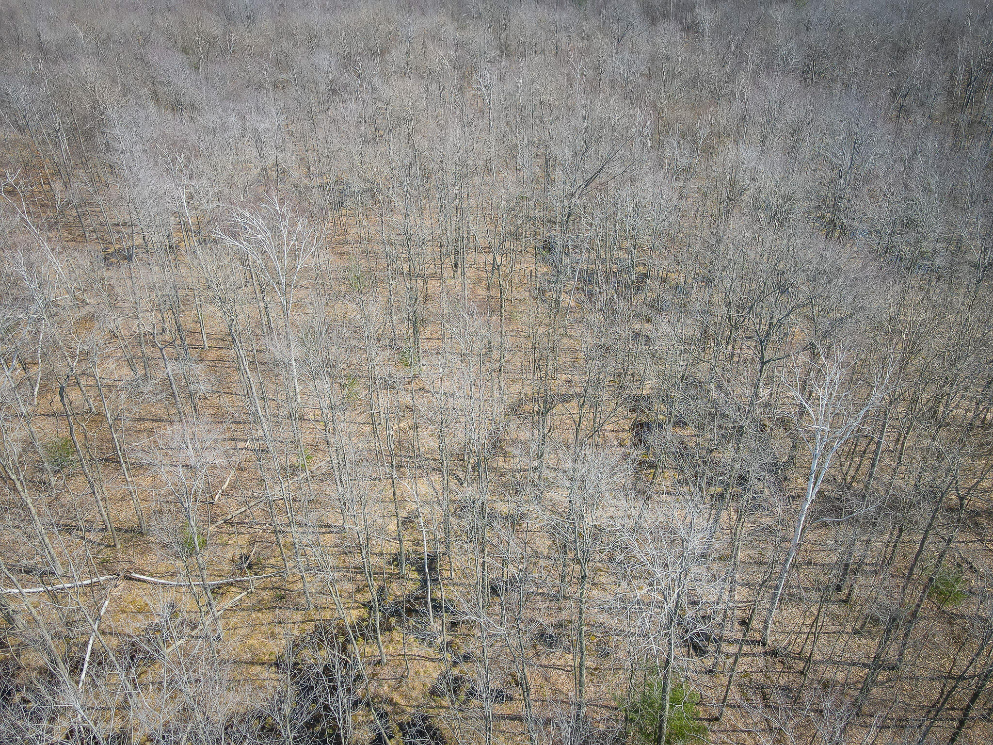 4986 North Ridge Road Pentwater, MI 49449 - Photo 43 of 53 DJI_0675