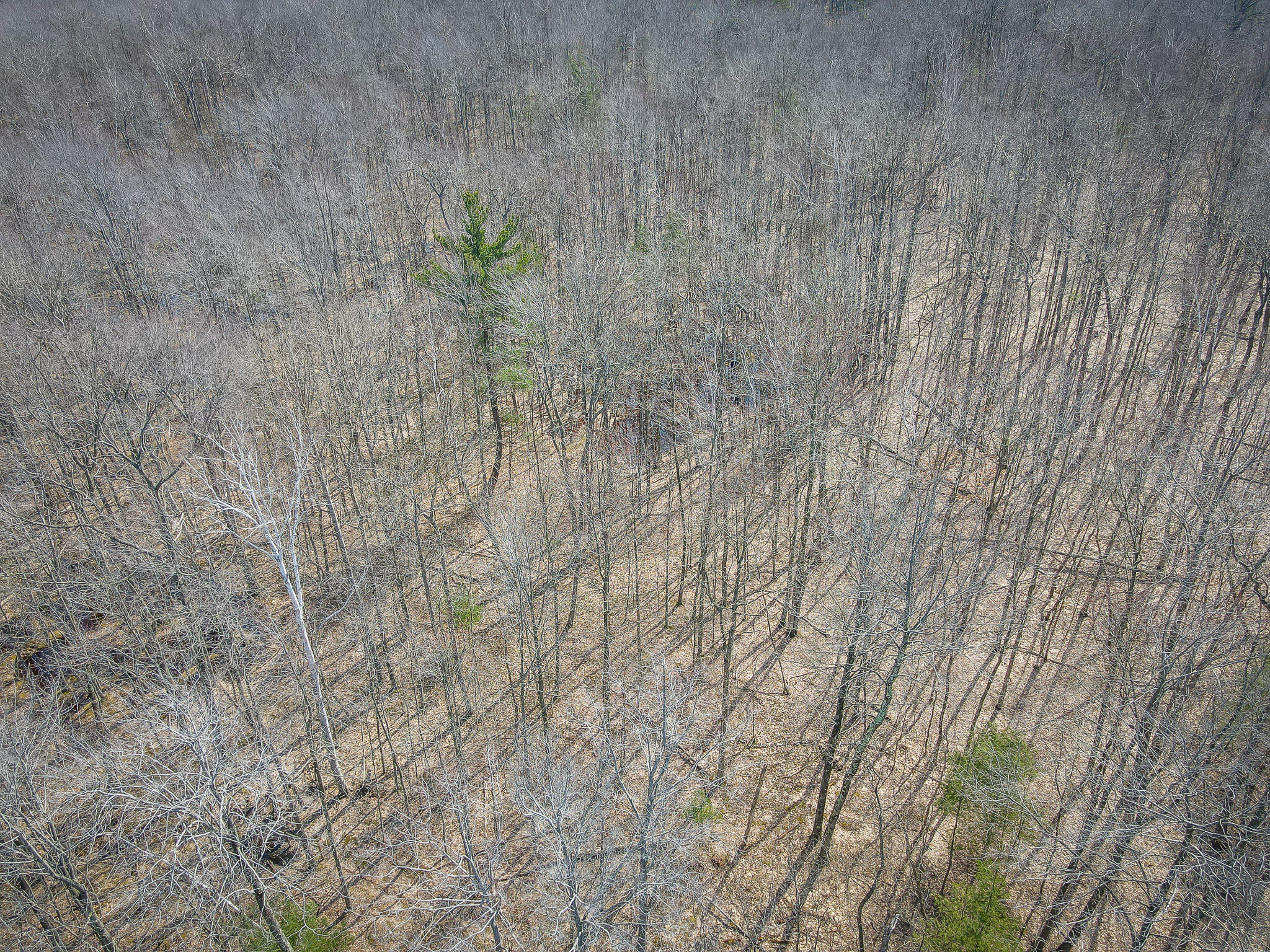 4986 North Ridge Road Pentwater, MI 49449 - Photo 47 of 53 DJI_0676