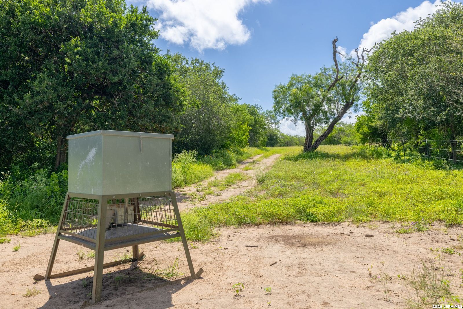237 County Road 393 Runge, TX 78151 - Photo 17 of 19