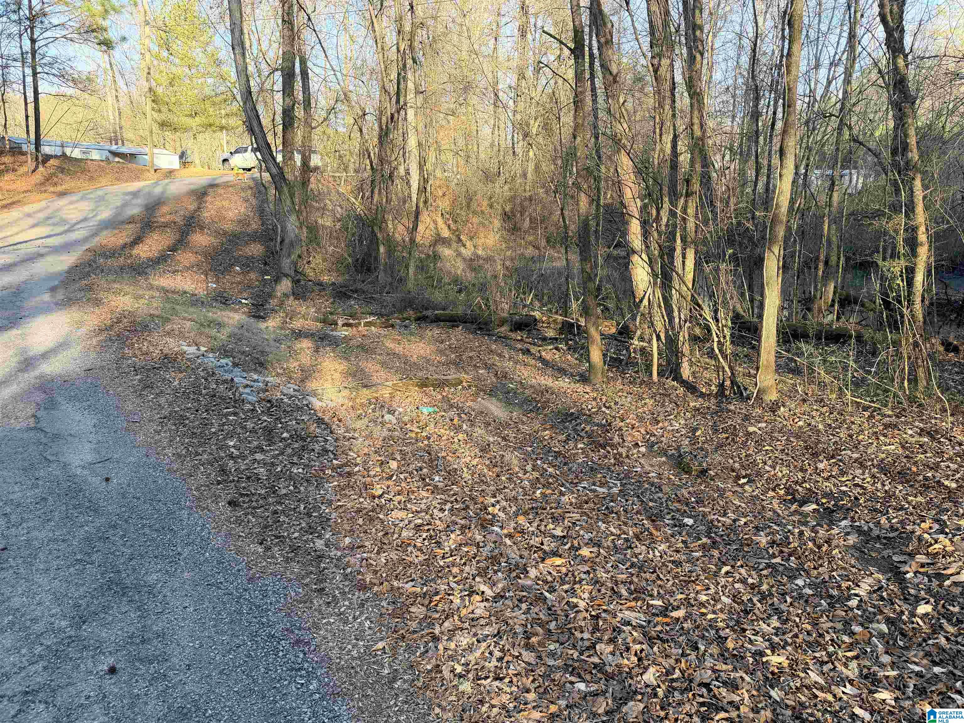 2 Scott Road Cordova, AL 35550 - Photo 2 of 8