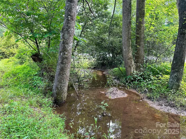 a view of a forest with trees