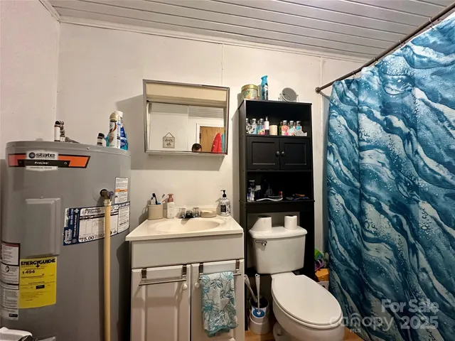 a bathroom with a sink a toilet and shower curtain