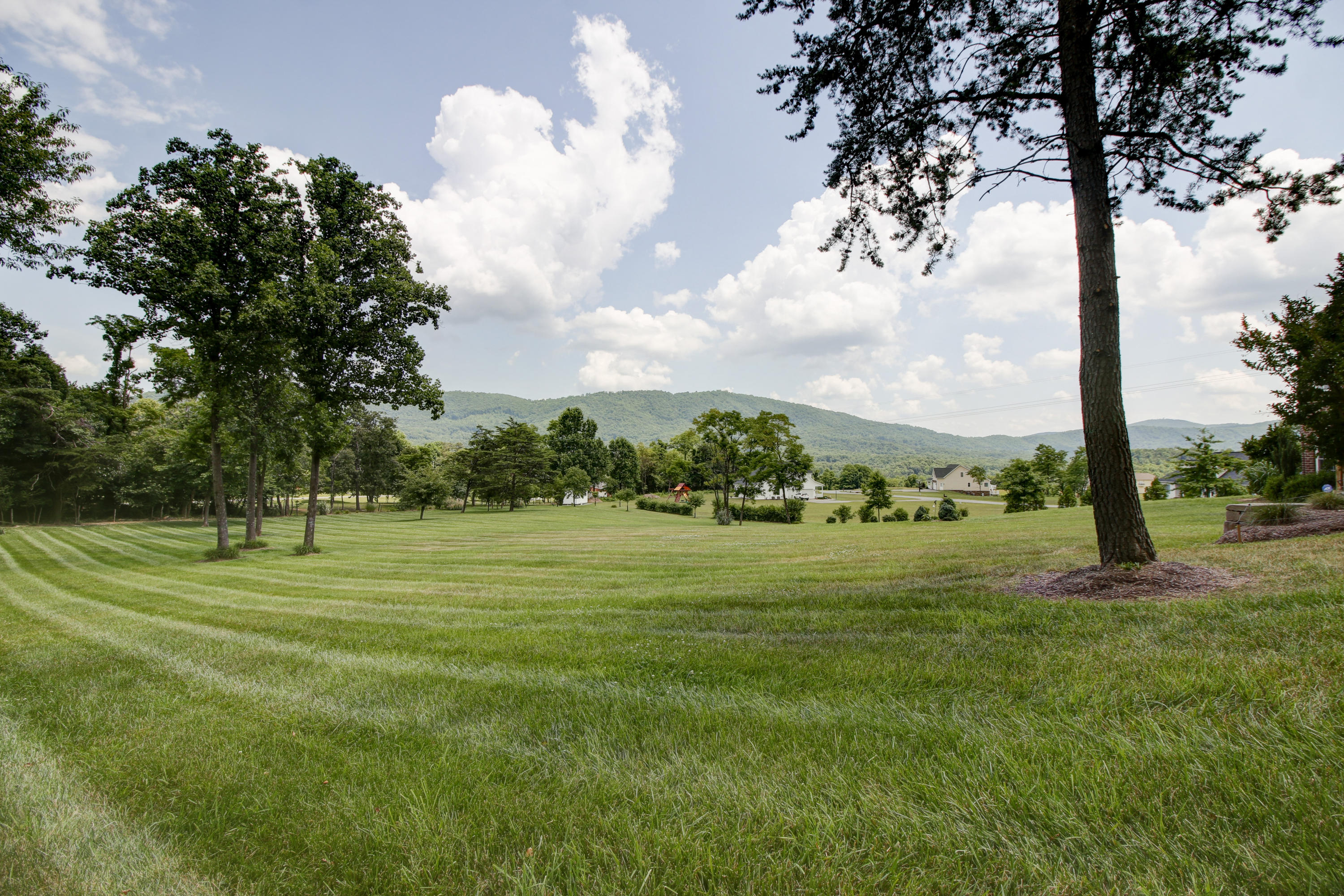 412 Thornblade Way Blue Ridge, VA 24064 - Photo 34 of 47 a grassy field with trees in the background