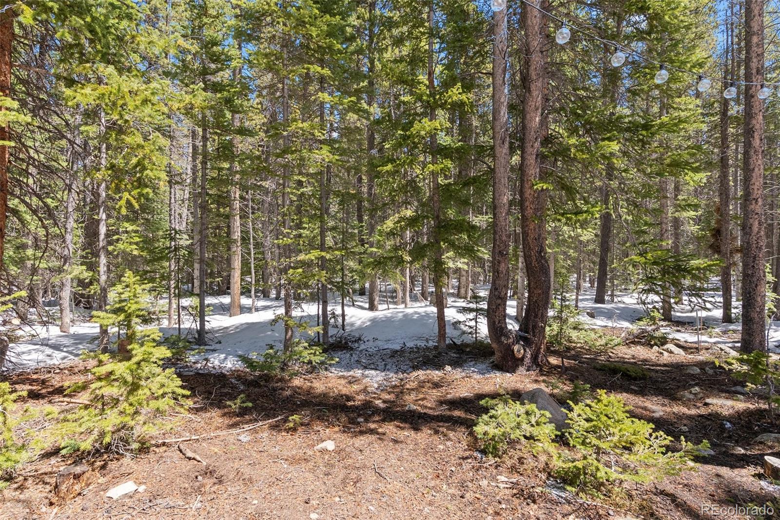 400 Upper Forest Road Idaho Springs, CO 80452 - Photo 20 of 20 a view of street with trees