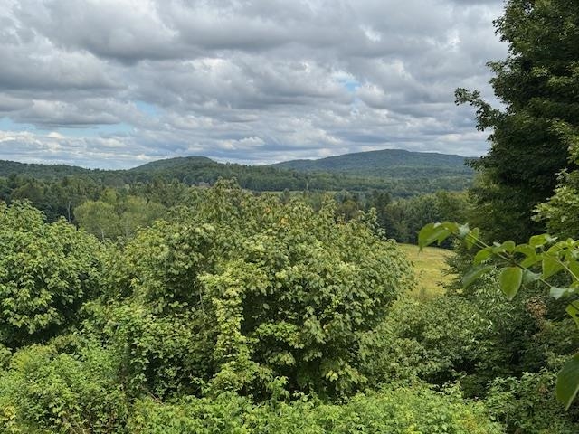 190 Upper Edsall Road Greensboro, VT 05841 - Photo 47 of 54 Gallery Image 47