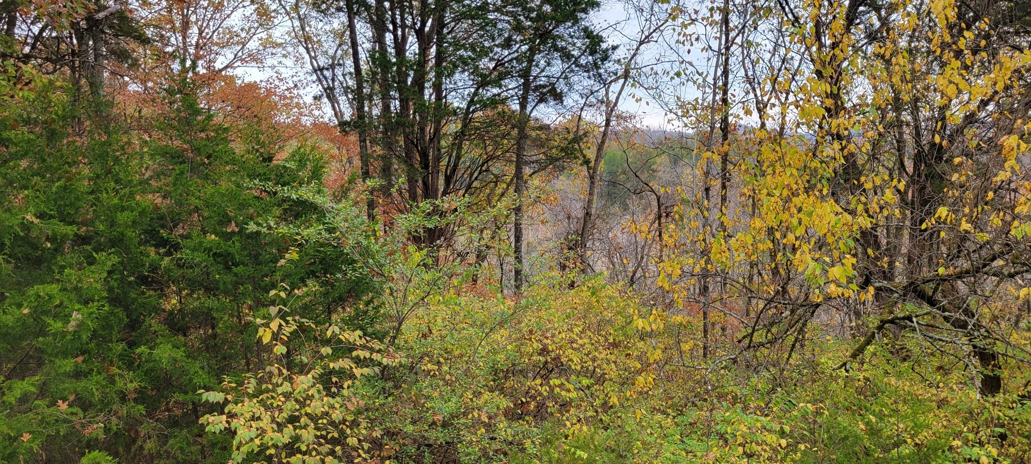 6995 Old Riv Rd Pike Nashville, TN 37209 - Photo 8 of 9