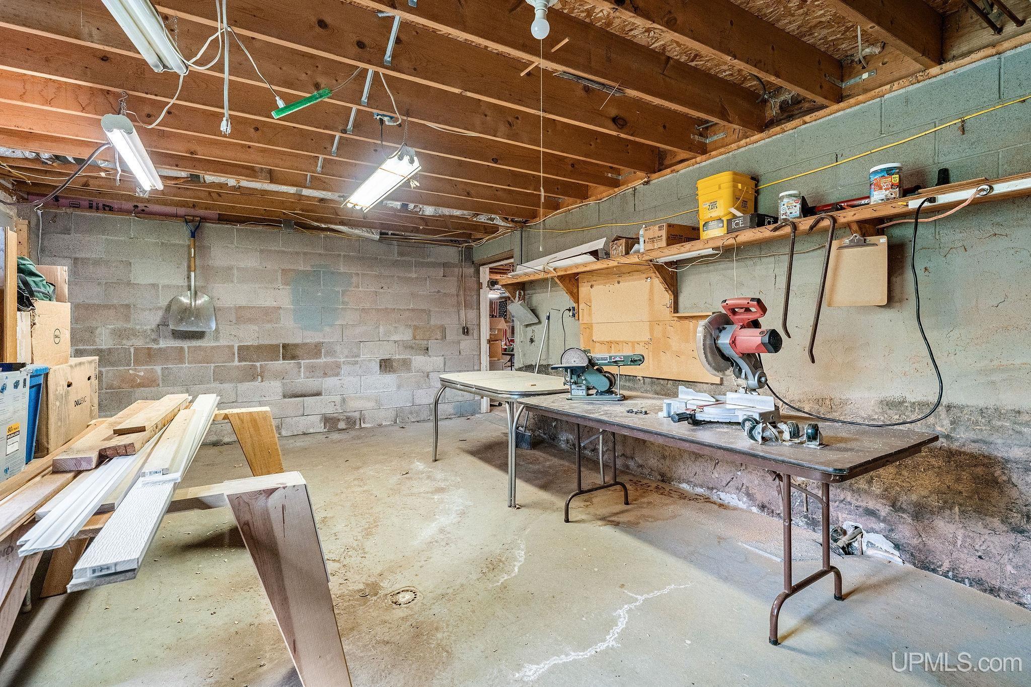 N8766 Peter White Road Deerton, MI 49822 - Photo 34 of 56