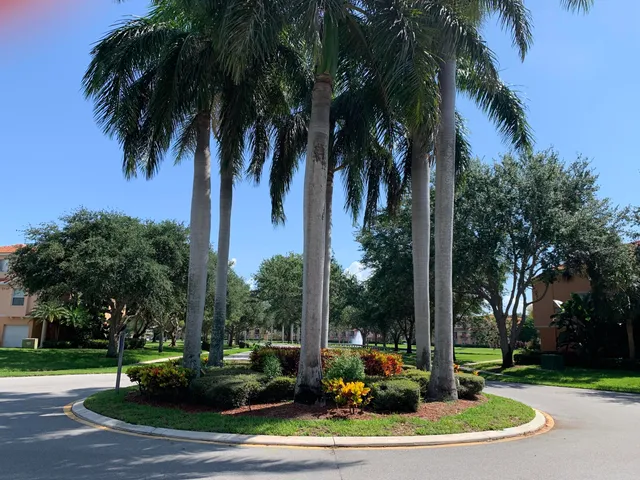 a view of a park with palm trees