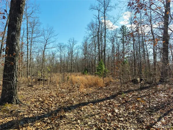 $2,511,705 | 881.3 Highway K Jadwin Mo 65501, Jadwin, MO 65501