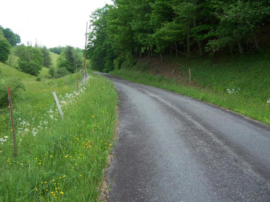 Lot 4 Fred Wallace Road Trade, TN 37691 - Photo 3 of 8 Photo 3