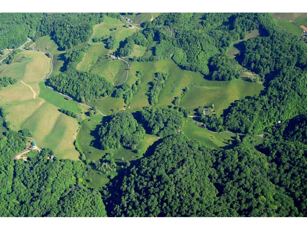 Lot 4 Fred Wallace Road Trade, TN 37691 - Photo 5 of 8 Photo 5