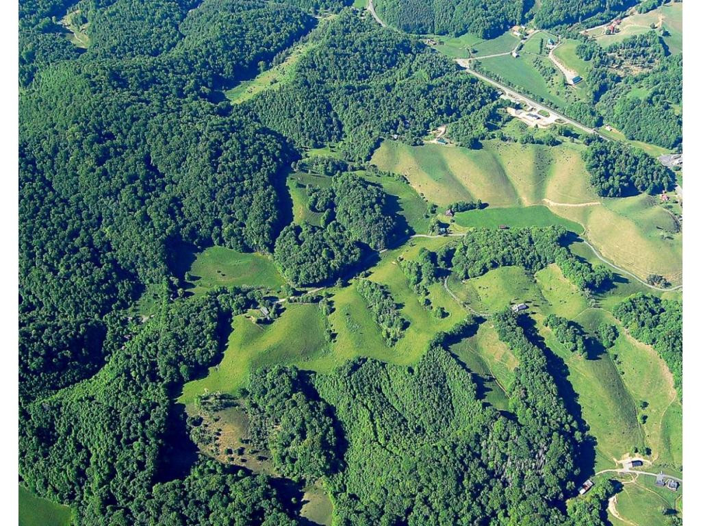 Lot 4 Fred Wallace Road Trade, TN 37691 - Photo 8 of 8 Photo 8