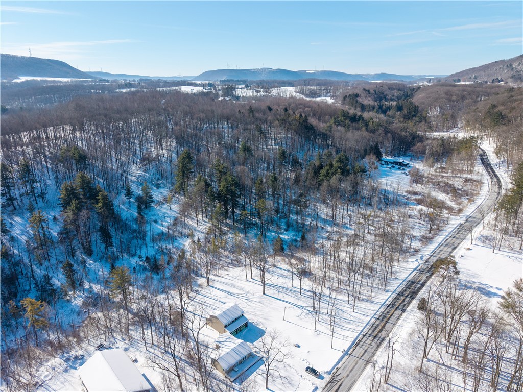 8823 Eelpot Road Naples, NY 14512 - Photo 40 of 48