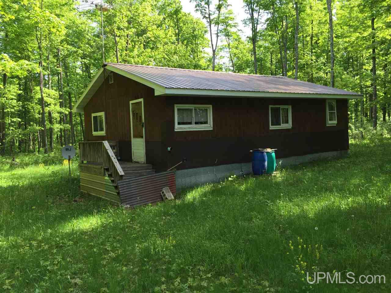 Tbd Bates Amasa Road Alpha, MI 49902 - Photo 6 of 24