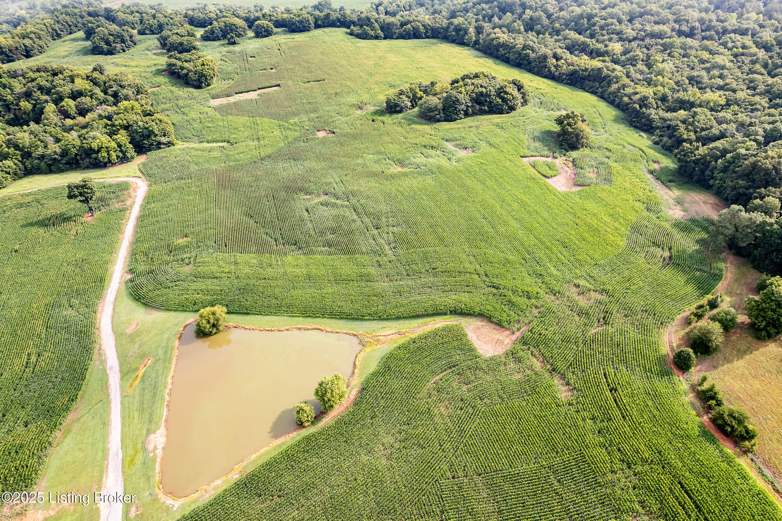 3530 Nat Rogers Road Boston, KY 40107 - Photo 35 of 43 NatRogersRd-4