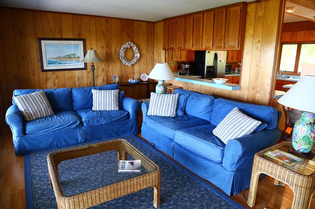 3530 Yacht Club Road Edisto Beach, SC 29438 - Photo 2 of 22 Living area