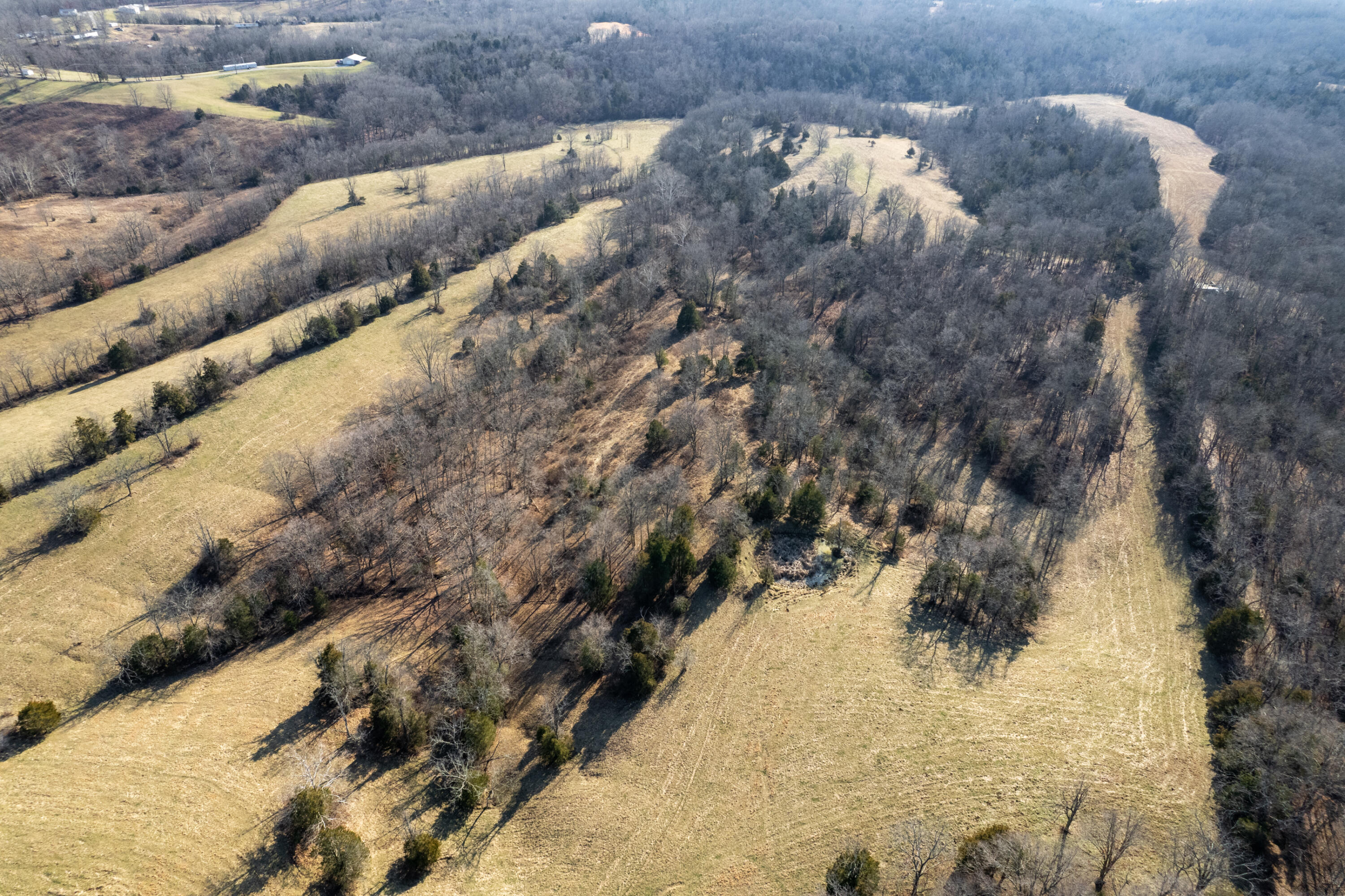 1240 Leaning Oak Road Corinth, KY 41010 - Photo 16 of 43 Gallery Image 16