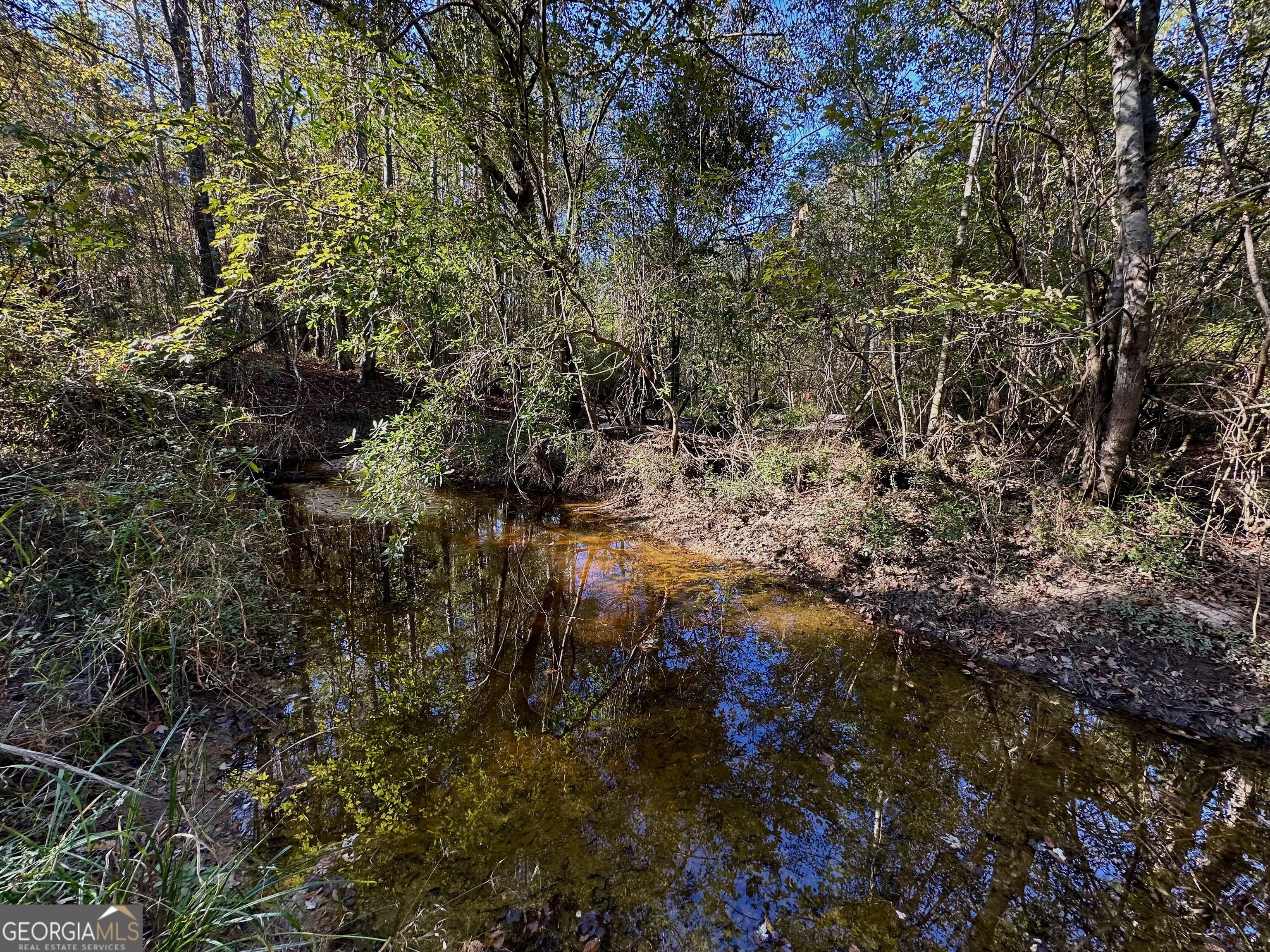 226 Cherokee Road Glenwood, GA 30428 - Photo 102 of 117 a view of a tree in a forest