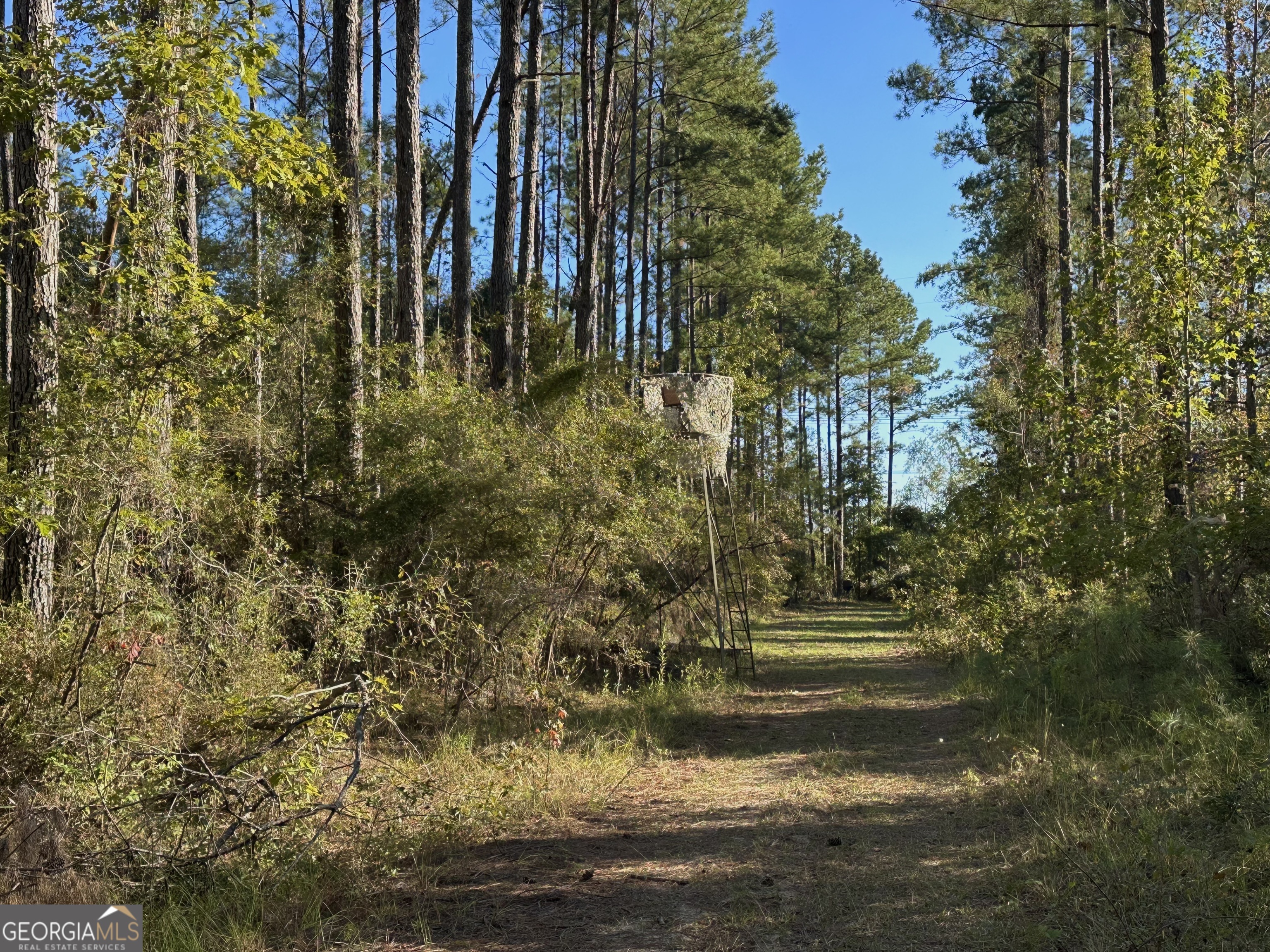 226 Cherokee Road Glenwood, GA 30428 - Photo 106 of 117