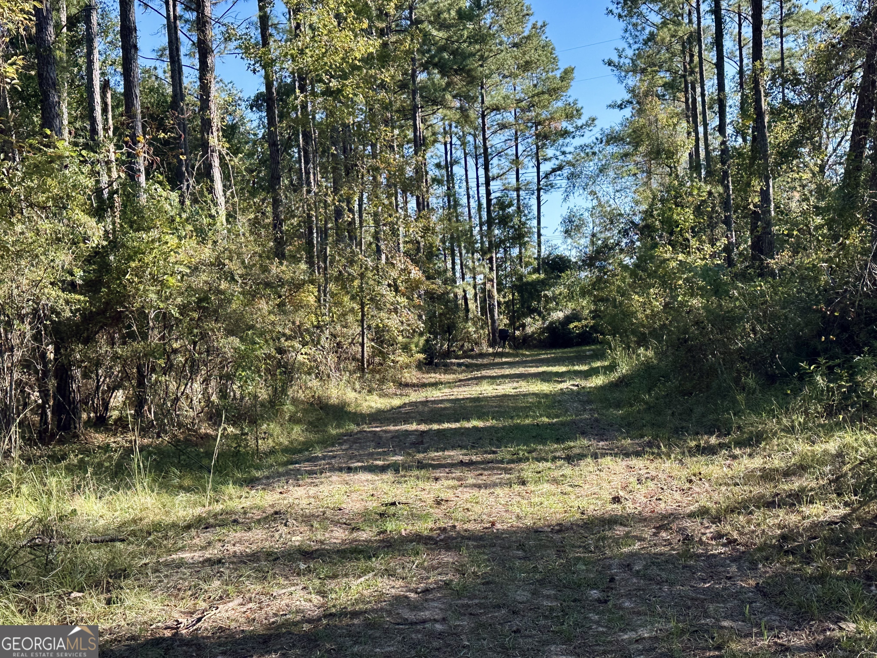 226 Cherokee Road Glenwood, GA 30428 - Photo 107 of 117