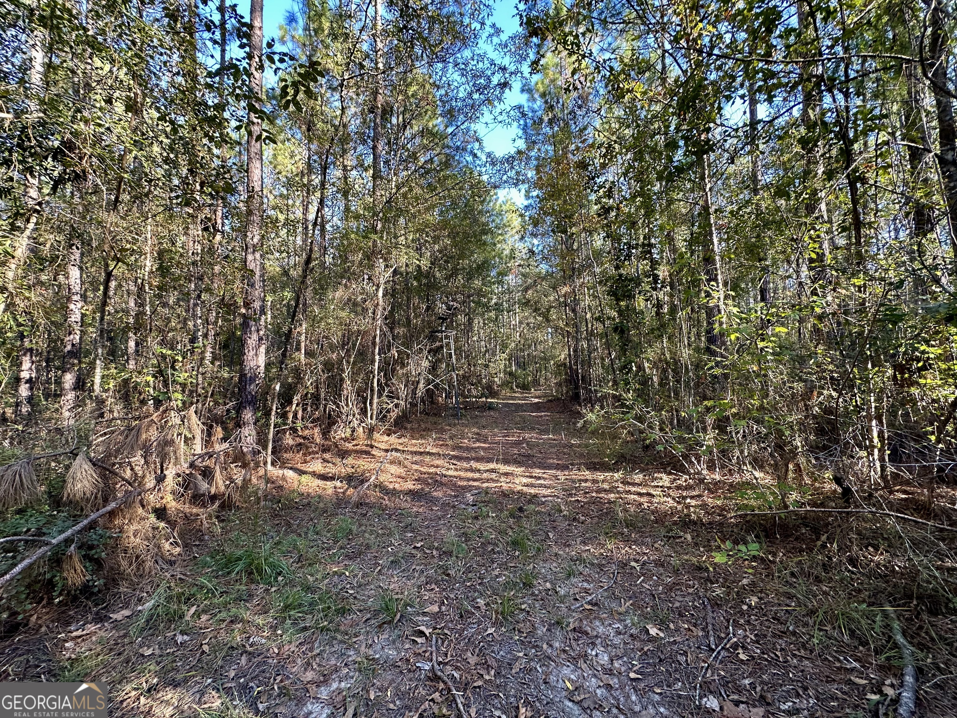 226 Cherokee Road Glenwood, GA 30428 - Photo 112 of 117