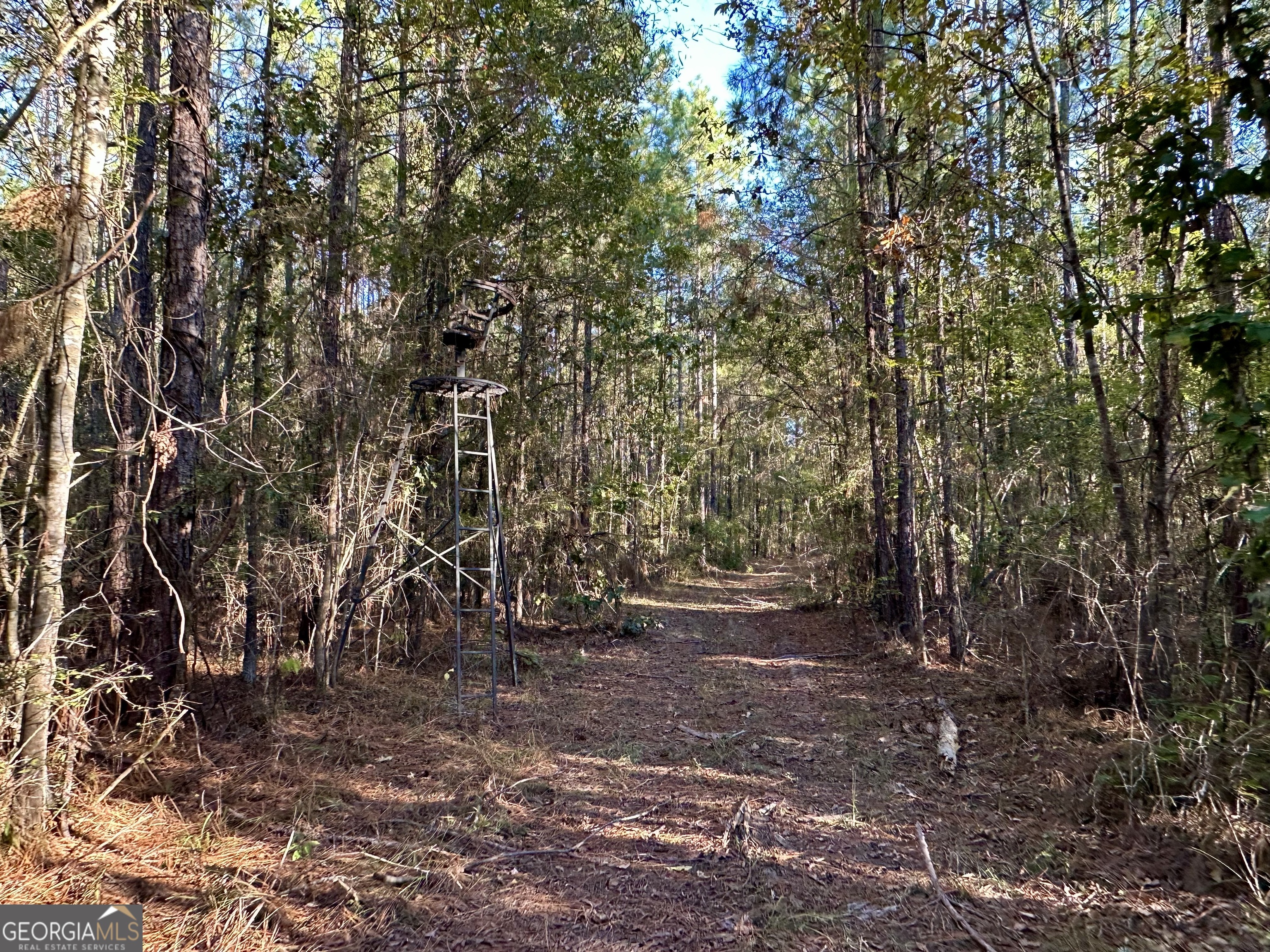 226 Cherokee Road Glenwood, GA 30428 - Photo 113 of 117 a view of outdoor space and trees