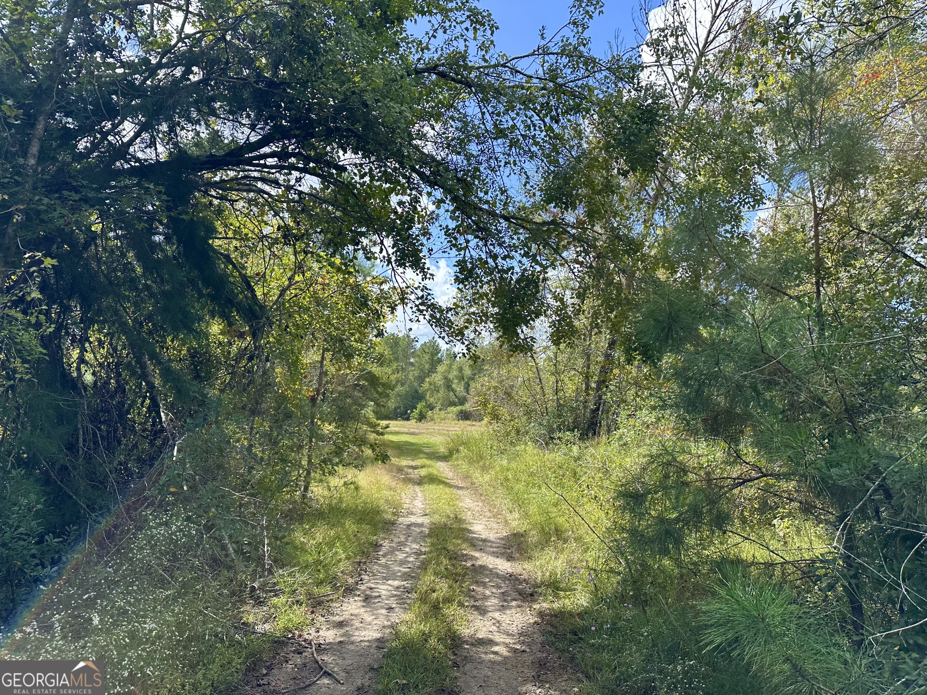 226 Cherokee Road Glenwood, GA 30428 - Photo 21 of 117