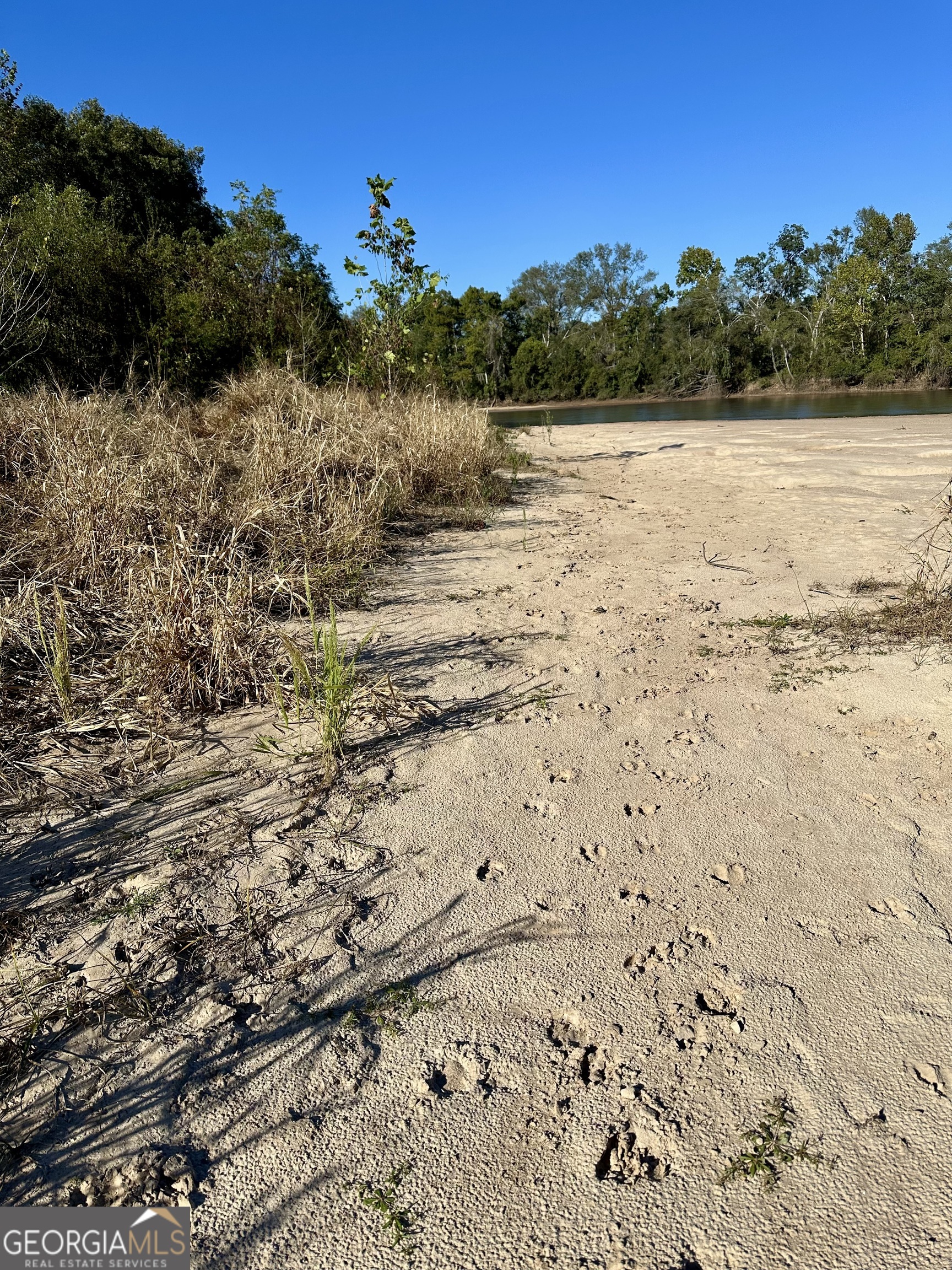 226 Cherokee Road Glenwood, GA 30428 - Photo 6 of 117