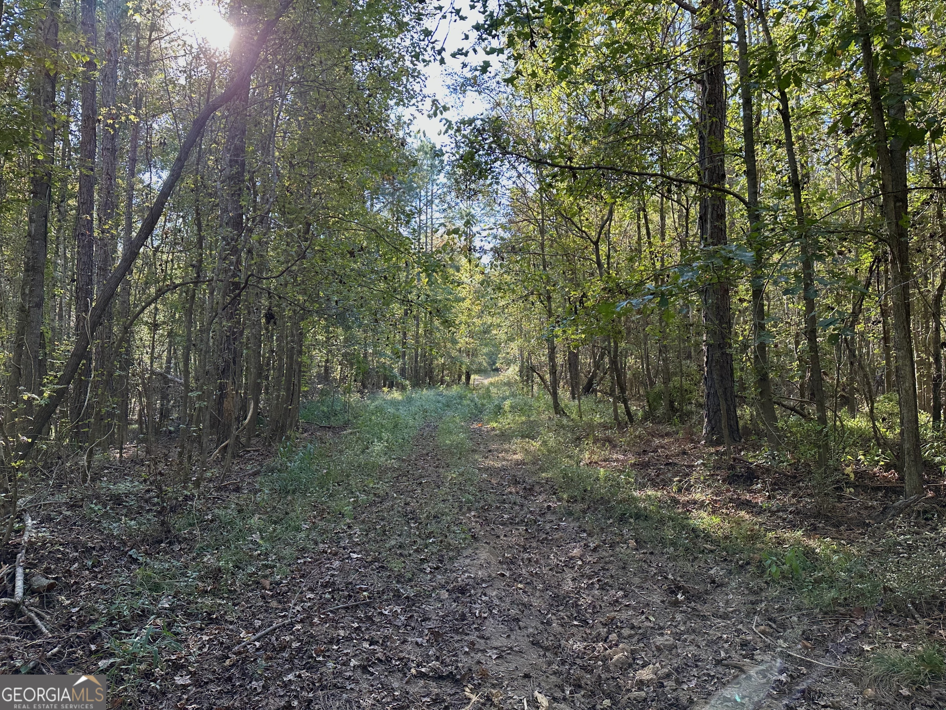 226 Cherokee Road Glenwood, GA 30428 - Photo 7 of 117