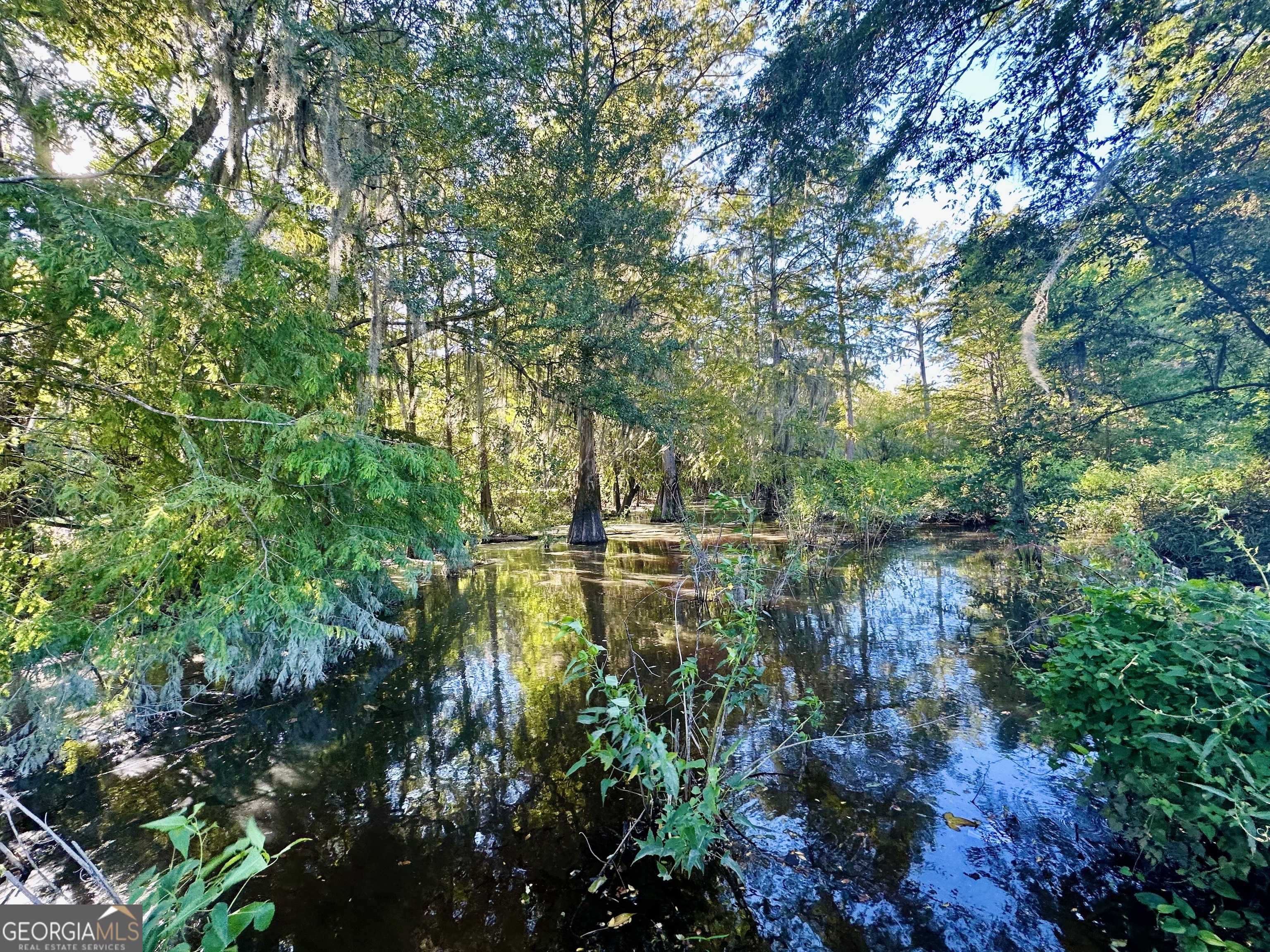 226 Cherokee Road Glenwood, GA 30428 - Photo 80 of 117