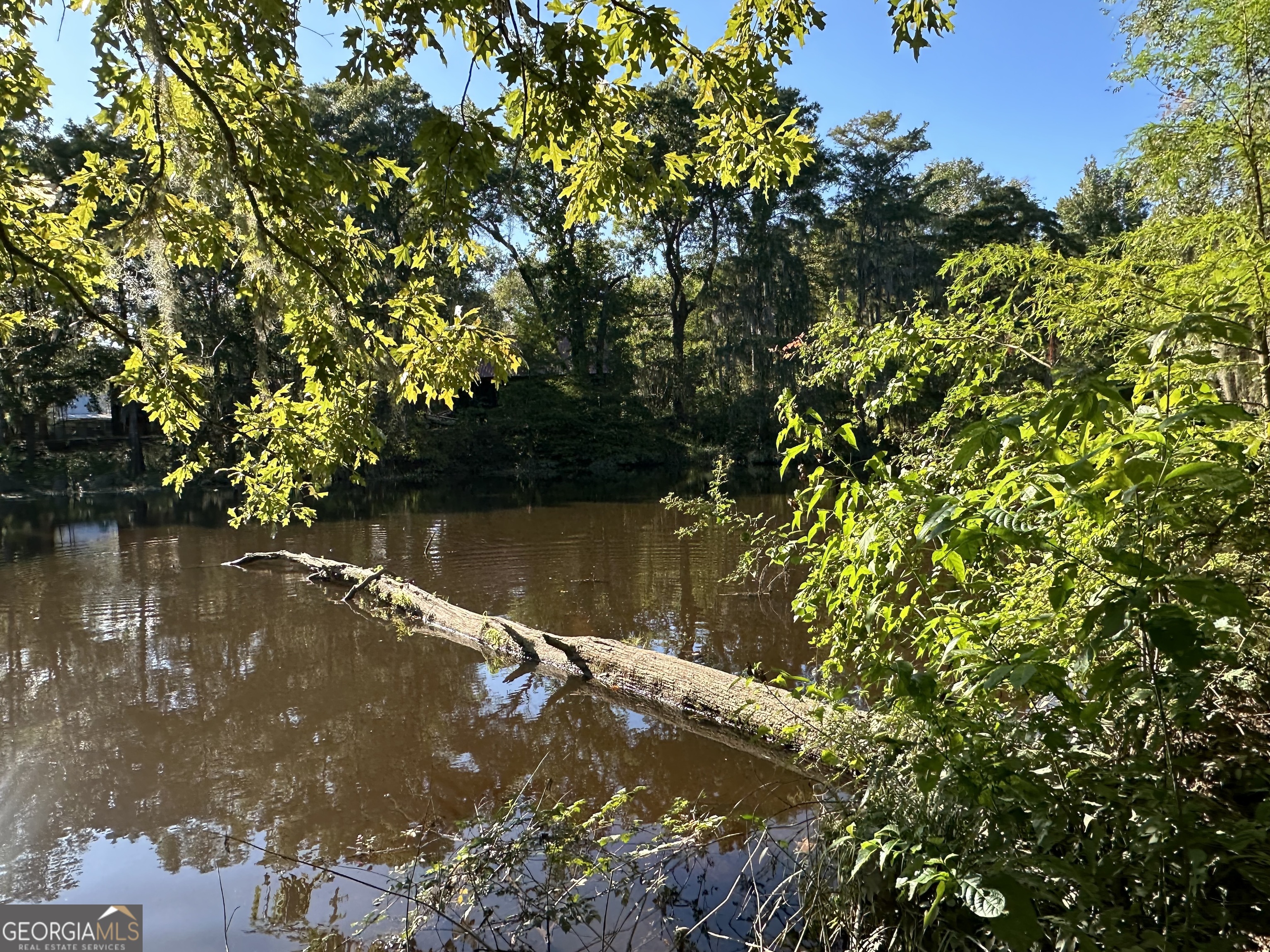 226 Cherokee Road Glenwood, GA 30428 - Photo 81 of 117