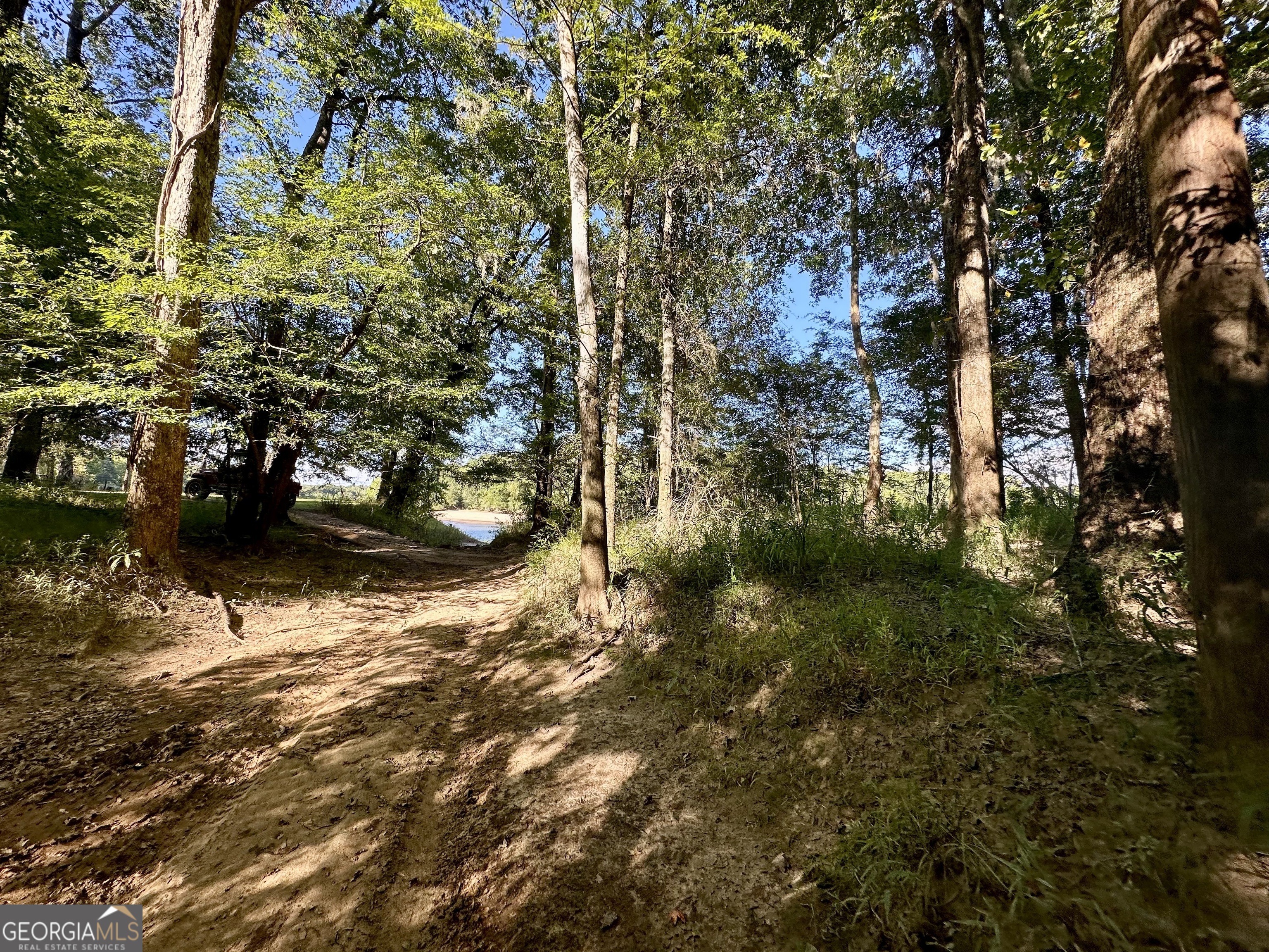 226 Cherokee Road Glenwood, GA 30428 - Photo 82 of 117 a view of outdoor space and yard