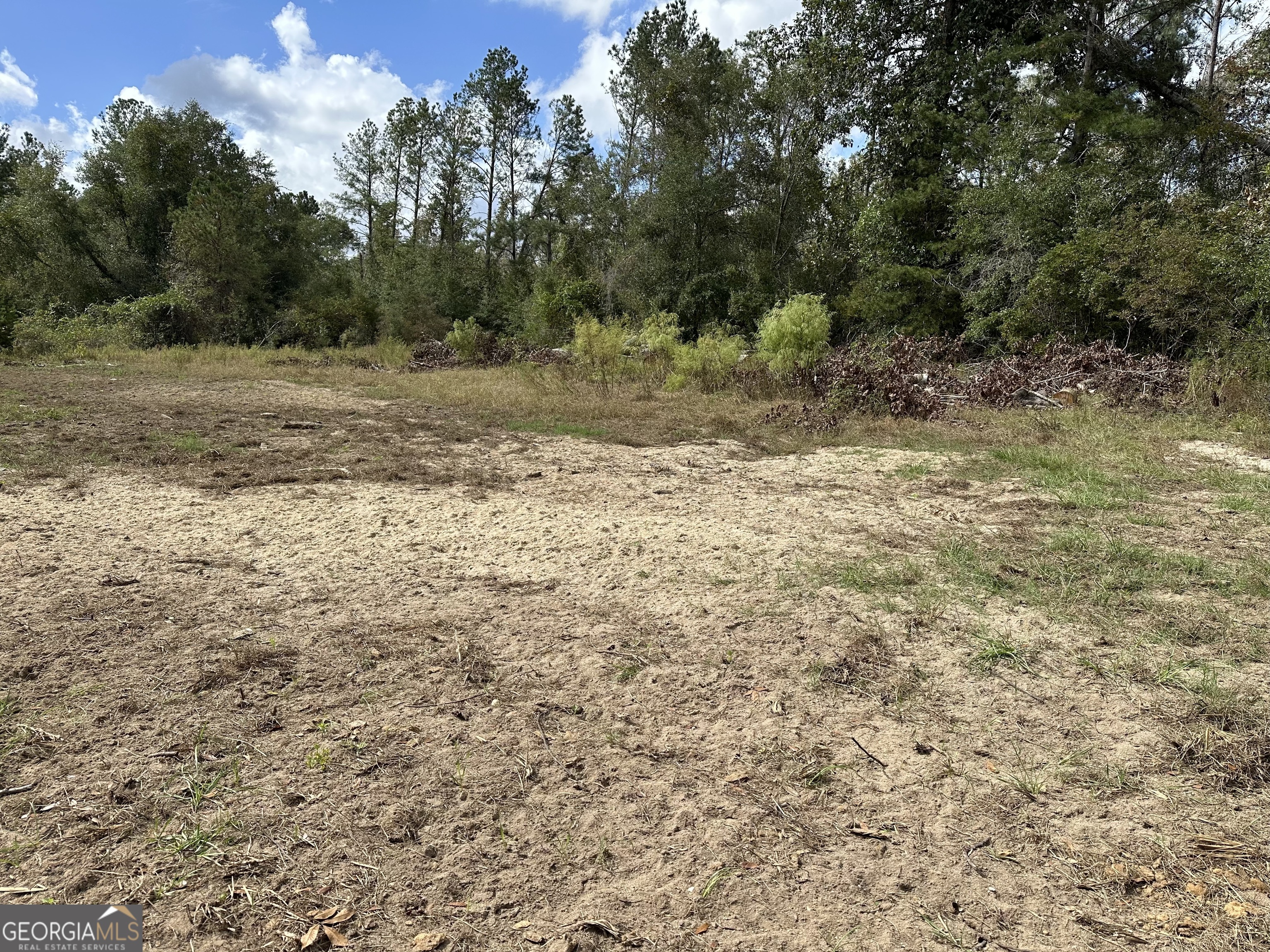 226 Cherokee Road Glenwood, GA 30428 - Photo 87 of 117