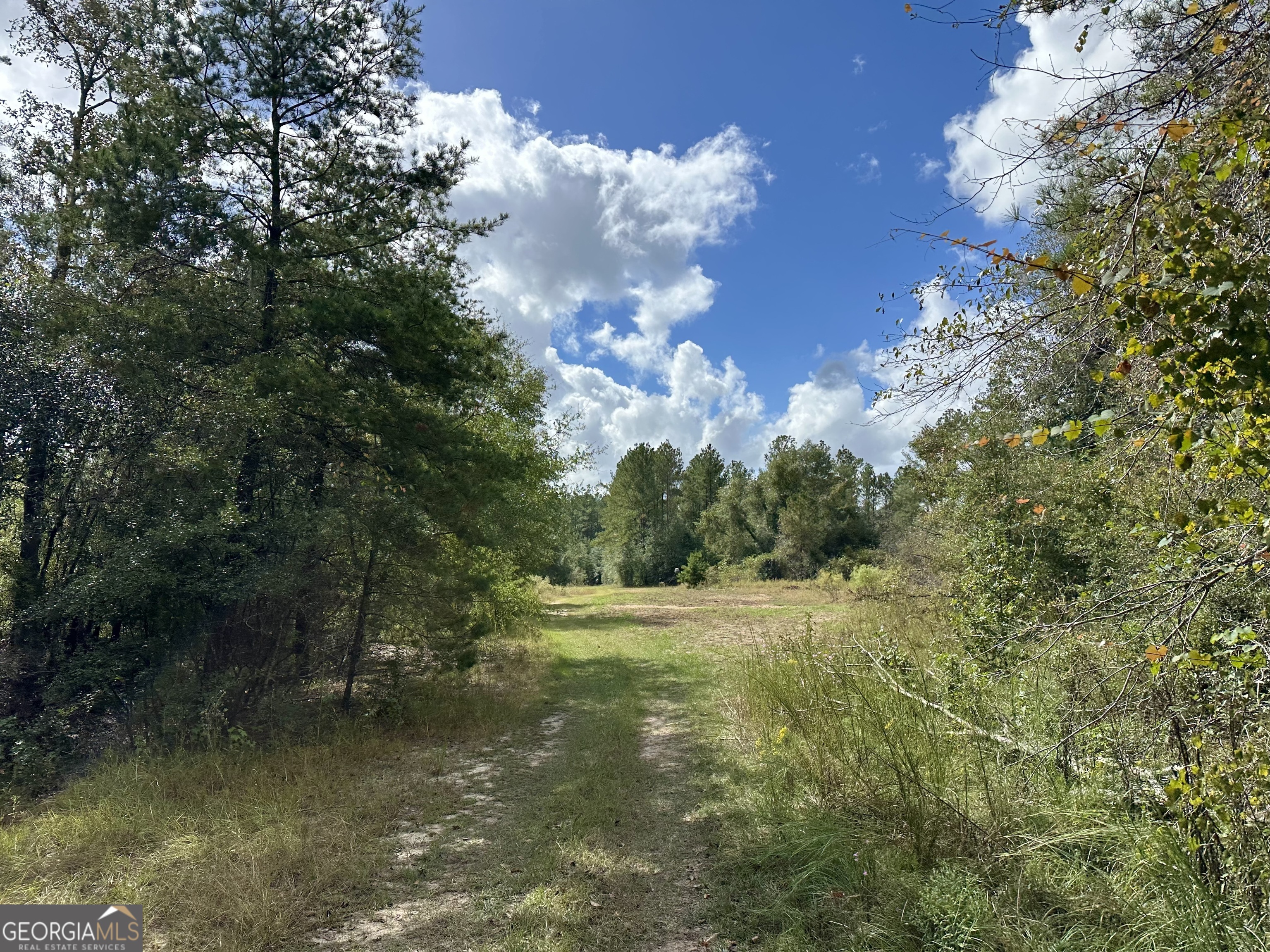 226 Cherokee Road Glenwood, GA 30428 - Photo 89 of 117