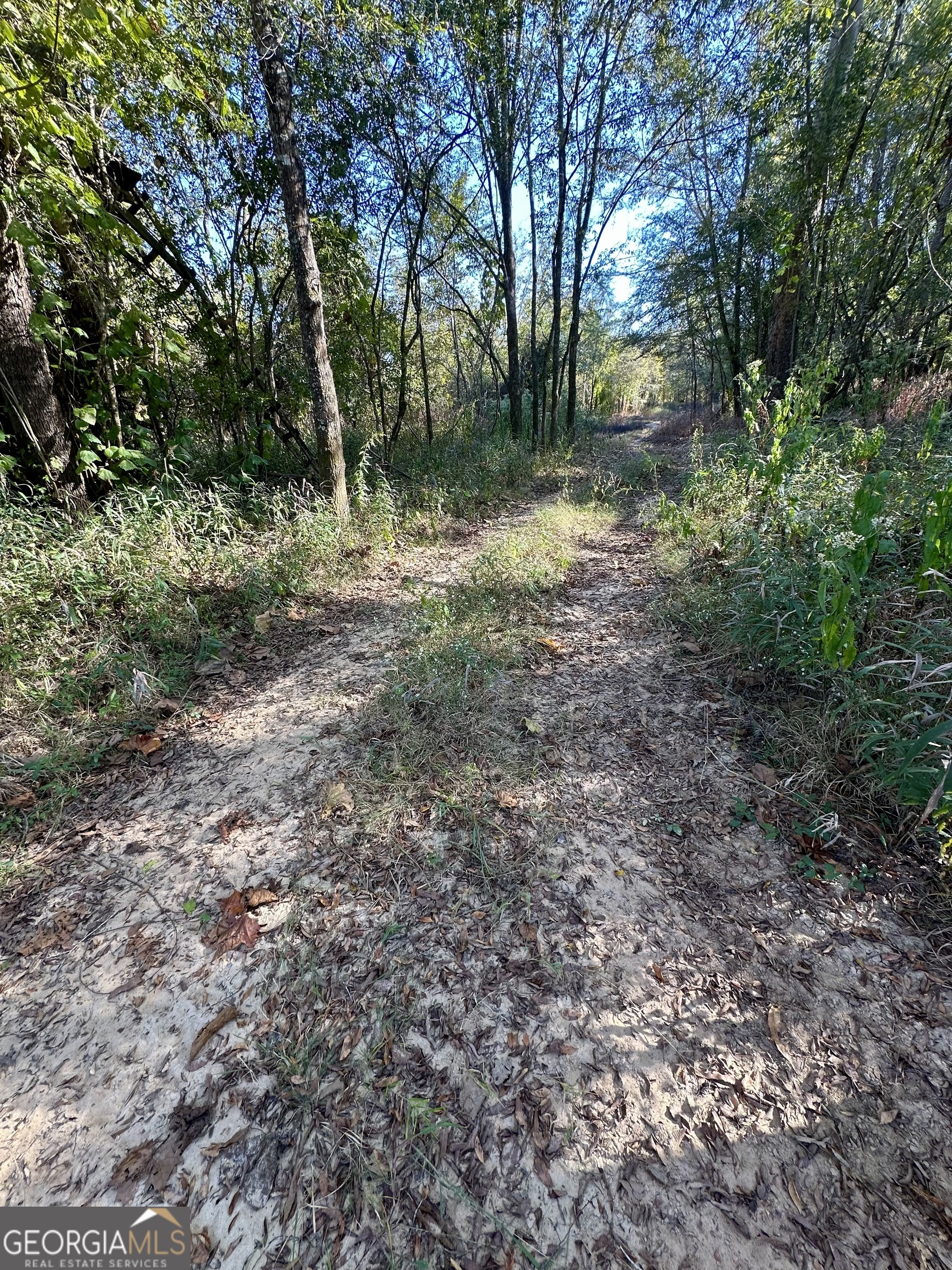 226 Cherokee Road Glenwood, GA 30428 - Photo 93 of 117 a view of outdoor space with trees all around
