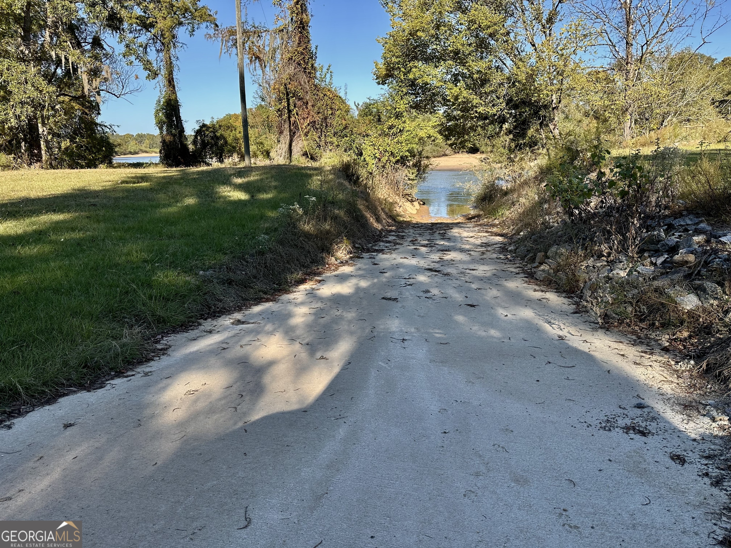 226 Cherokee Road Glenwood, GA 30428 - Photo 96 of 117 a view of a yard with plants and trees