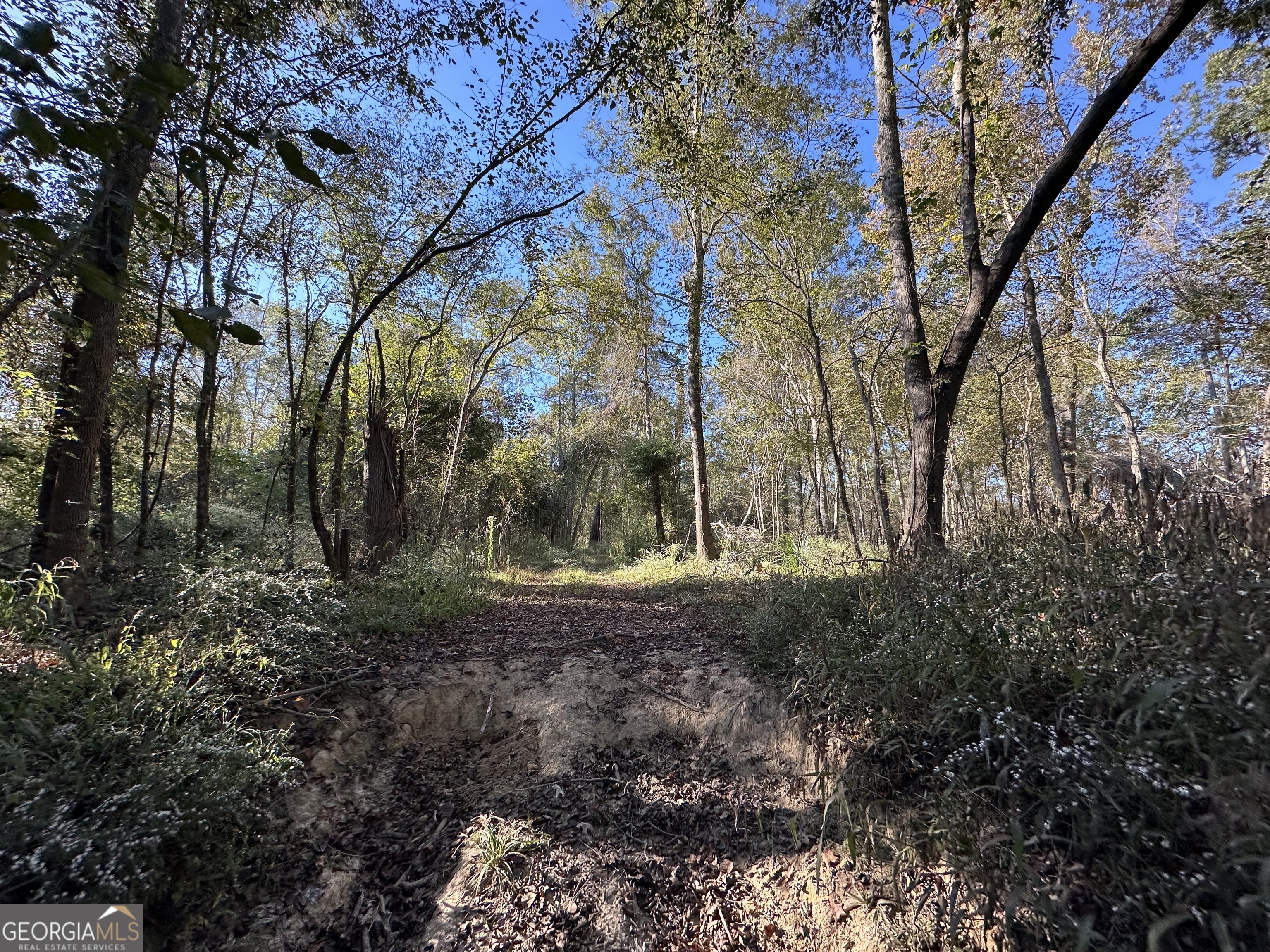 226 Cherokee Road Glenwood, GA 30428 - Photo 99 of 117