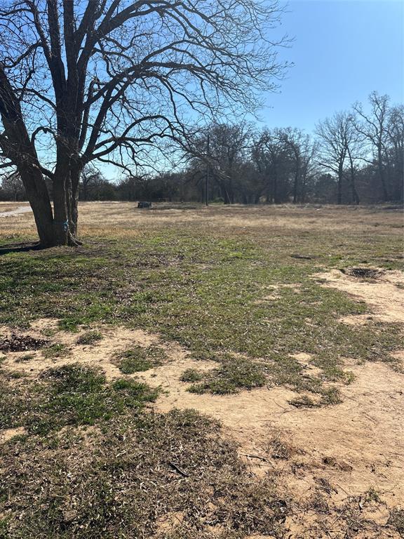 480 Cordell Road Sadler, TX 76264 - Photo 24 of 25 a view of a lake with a tree