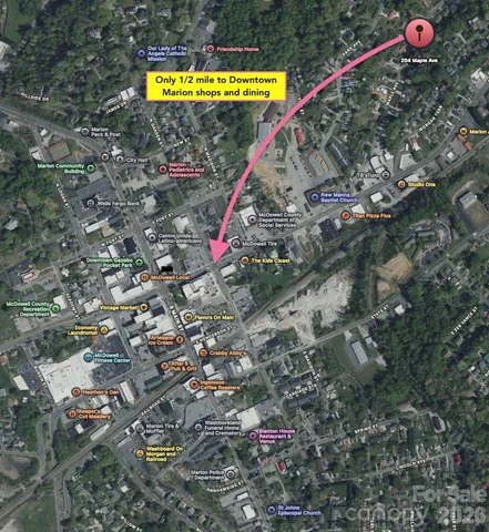 a view of a an tree and a tree