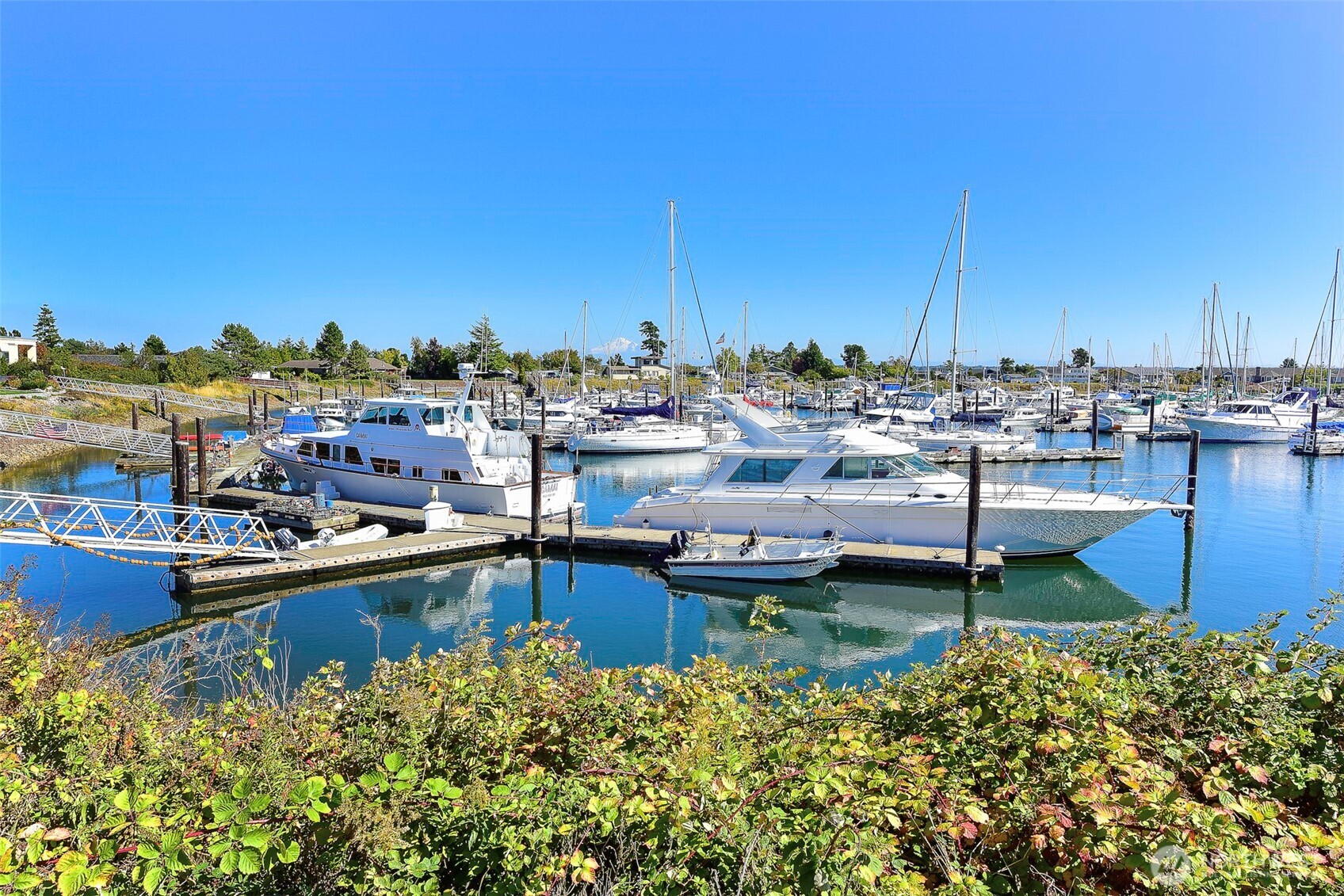 0 Kispiox Road Blaine, WA 98230 - Photo 12 of 33