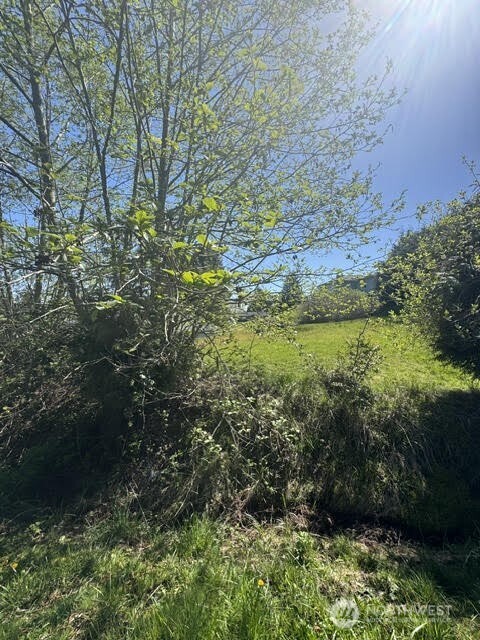 0 Kispiox Road Blaine, WA 98230 - Photo 2 of 33