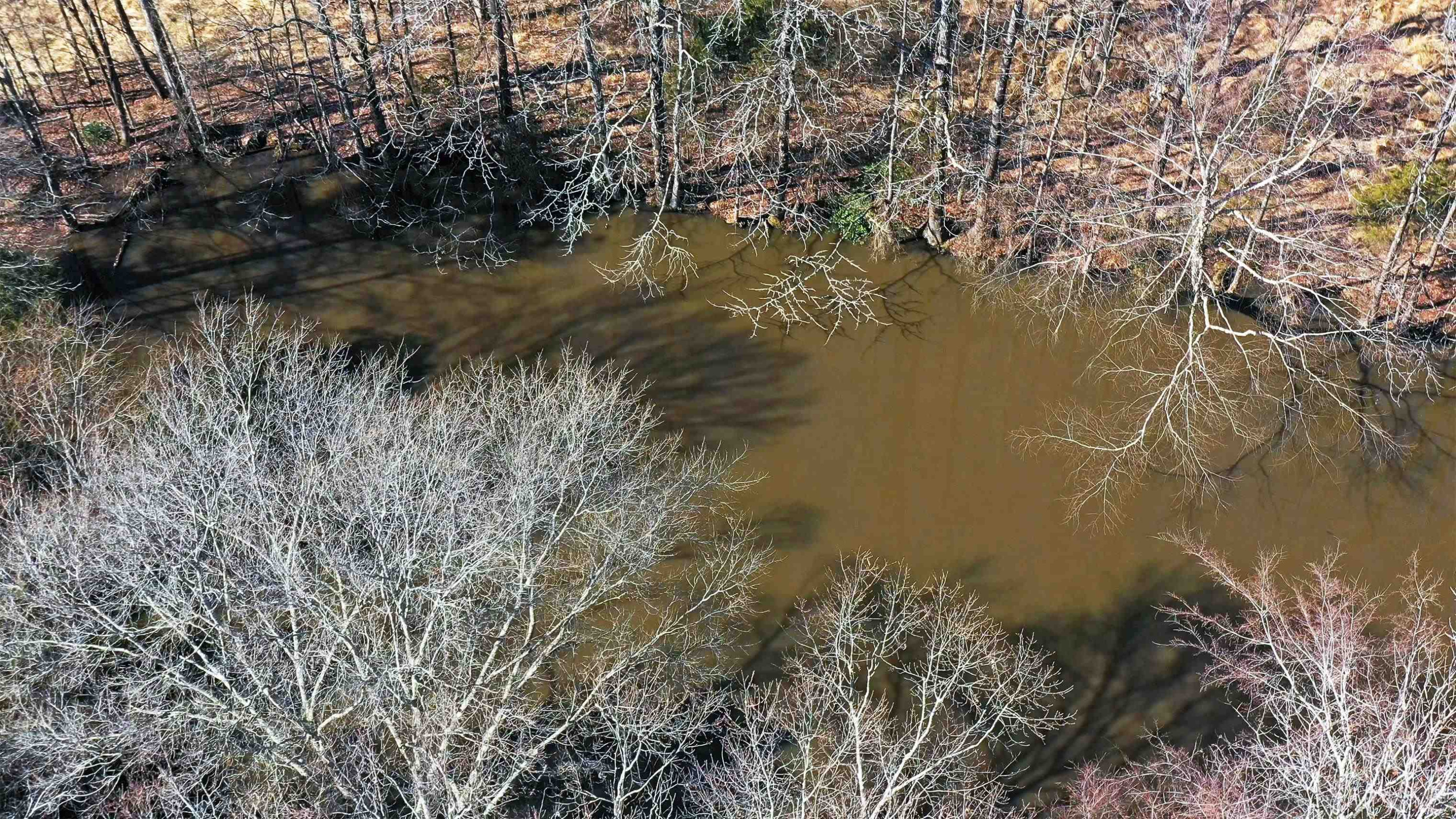385 Raines Springs Road Jackson, TN 38301 - Photo 7 of 9 a view of a lake with a tree