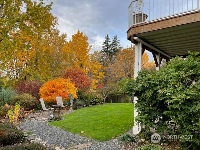 a view of a backyard