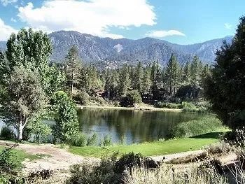 a view of a lake in middle of forest
